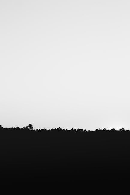 Nature landscape silhouette